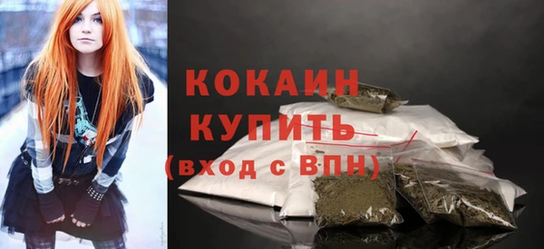 соль ск Бородино