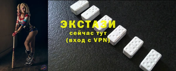 тгк Снежногорск