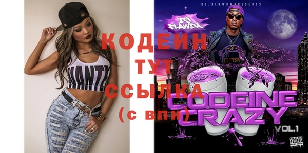 2c-b Снежинск