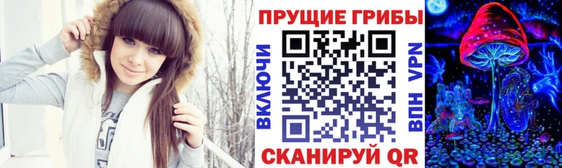 Псилоцибиновые грибы GOLDEN TEACHER цены Мурманск